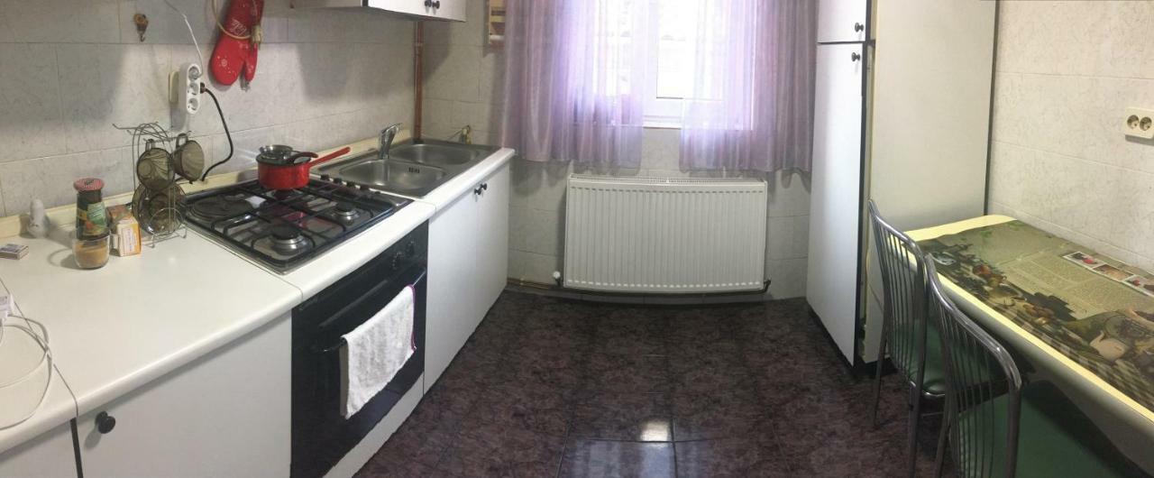 Ferienwohnung Apartament Mansarda Curtea de Argeş Exterior foto
